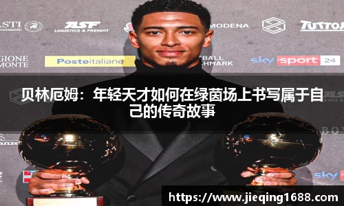 zoty中欧官方网站